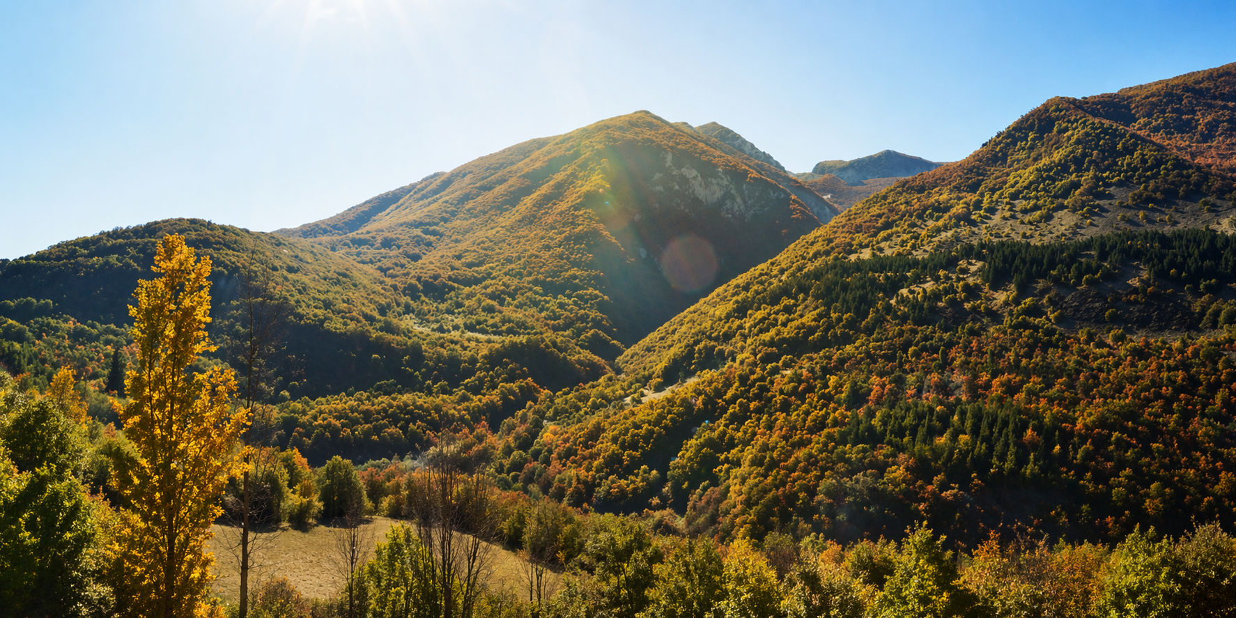 Landscape view